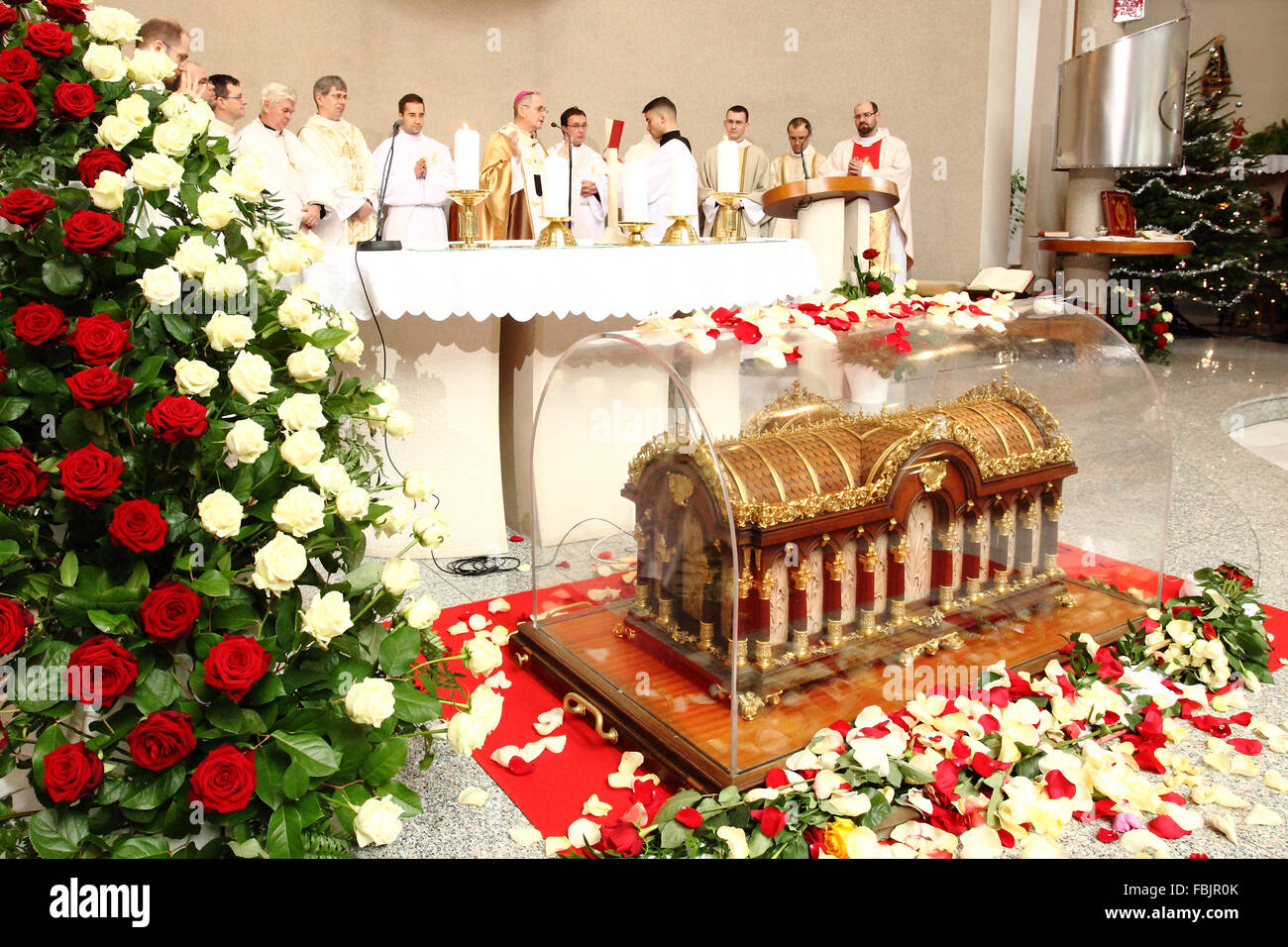 Relics of st therese of lisieux hi-res stock photography and images - Alamy