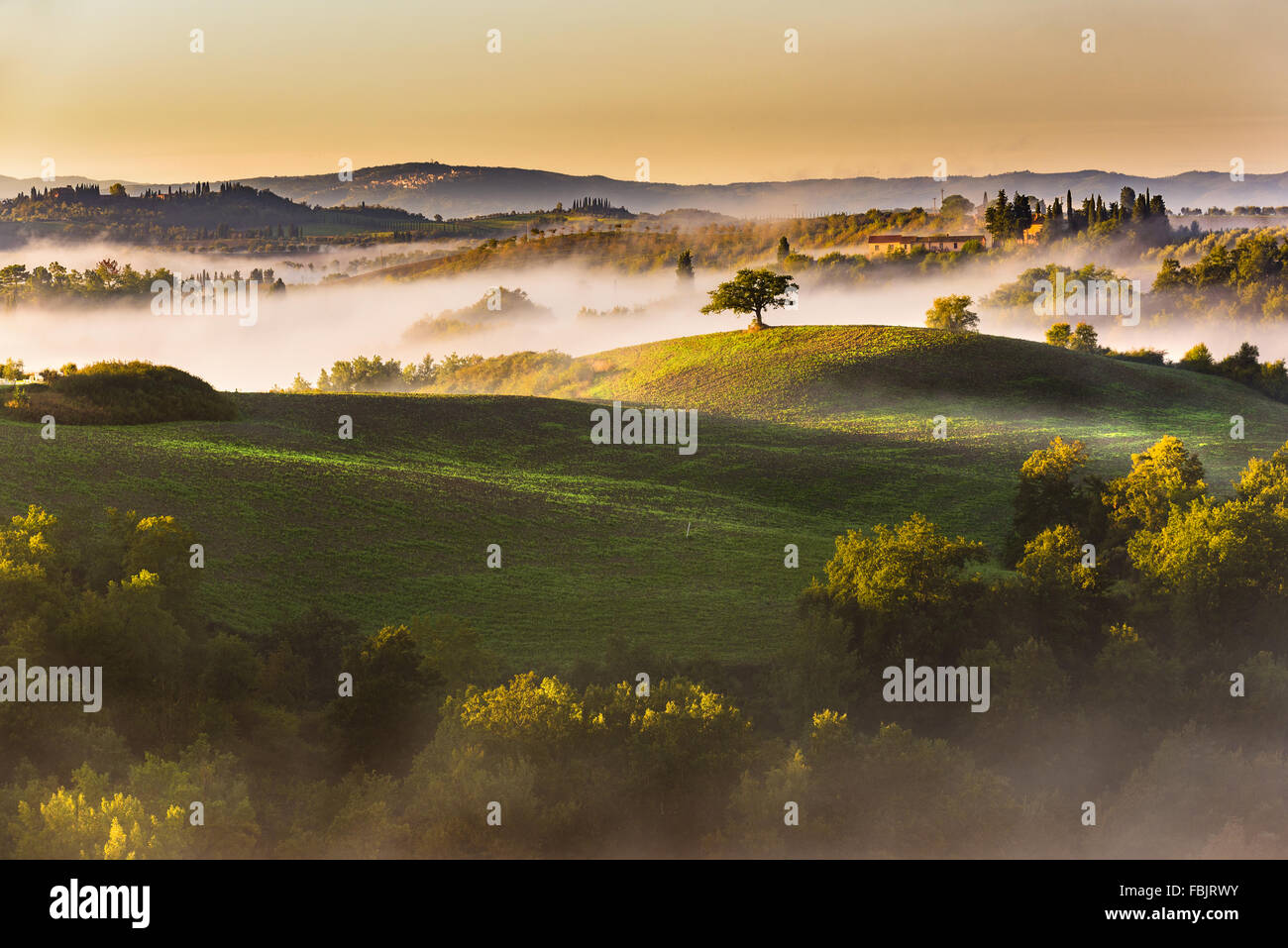 Trees and orchards on the Italian fields. Tuscany autumn day. Stock Photo