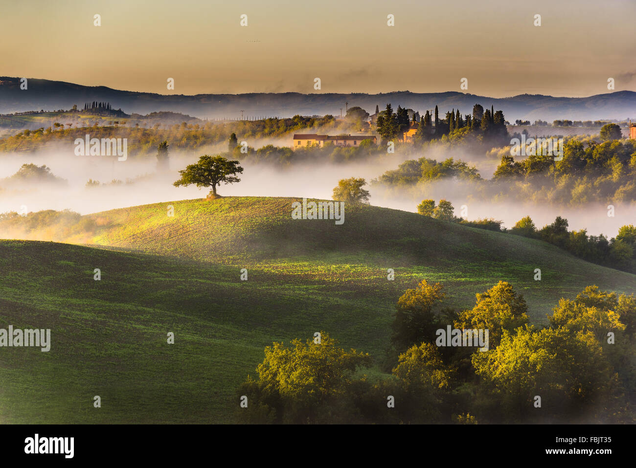 Trees and orchards on the Italian fields. Tuscany autumn day. Stock Photo