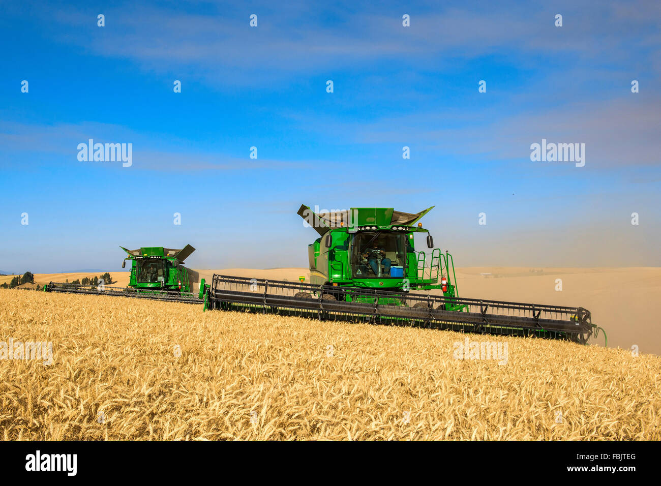 Multiple John Deere combines harvesting grain in the Palouse region of