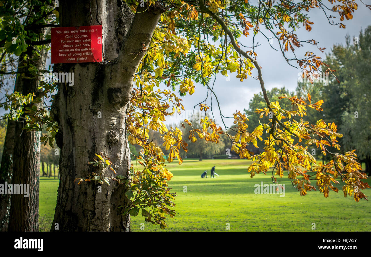 A golder sets up to hit his shot on Ormeau Golf Course in Belfast framed by the trees. Stock Photo
