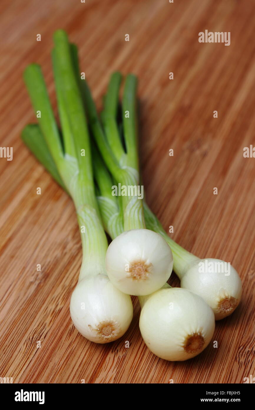 Ripe beautiful spring onions Stock Photo