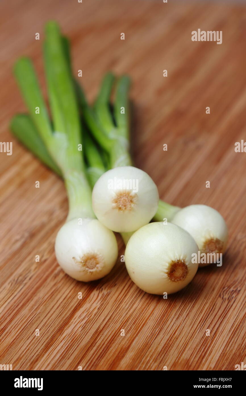 Bunch of green onion vegetables Stock Photo