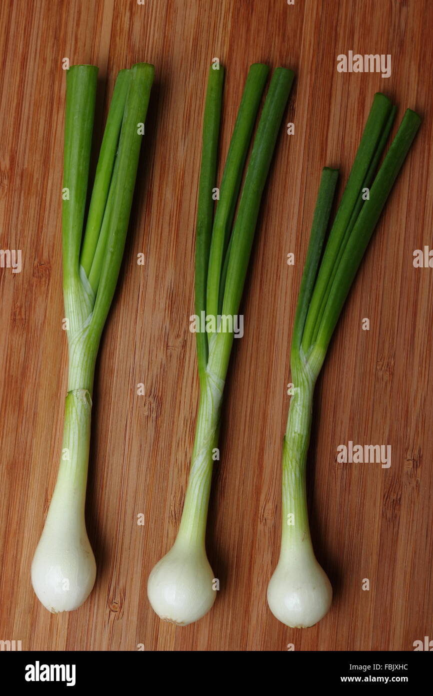 Young onion bulbs with green sprouts Stock Photo