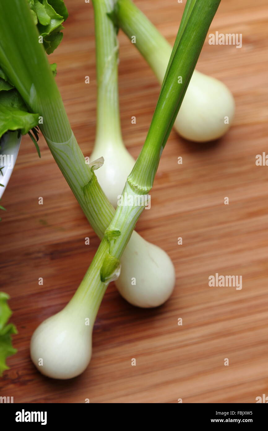 Young onion bulbs with green sprouts Stock Photo