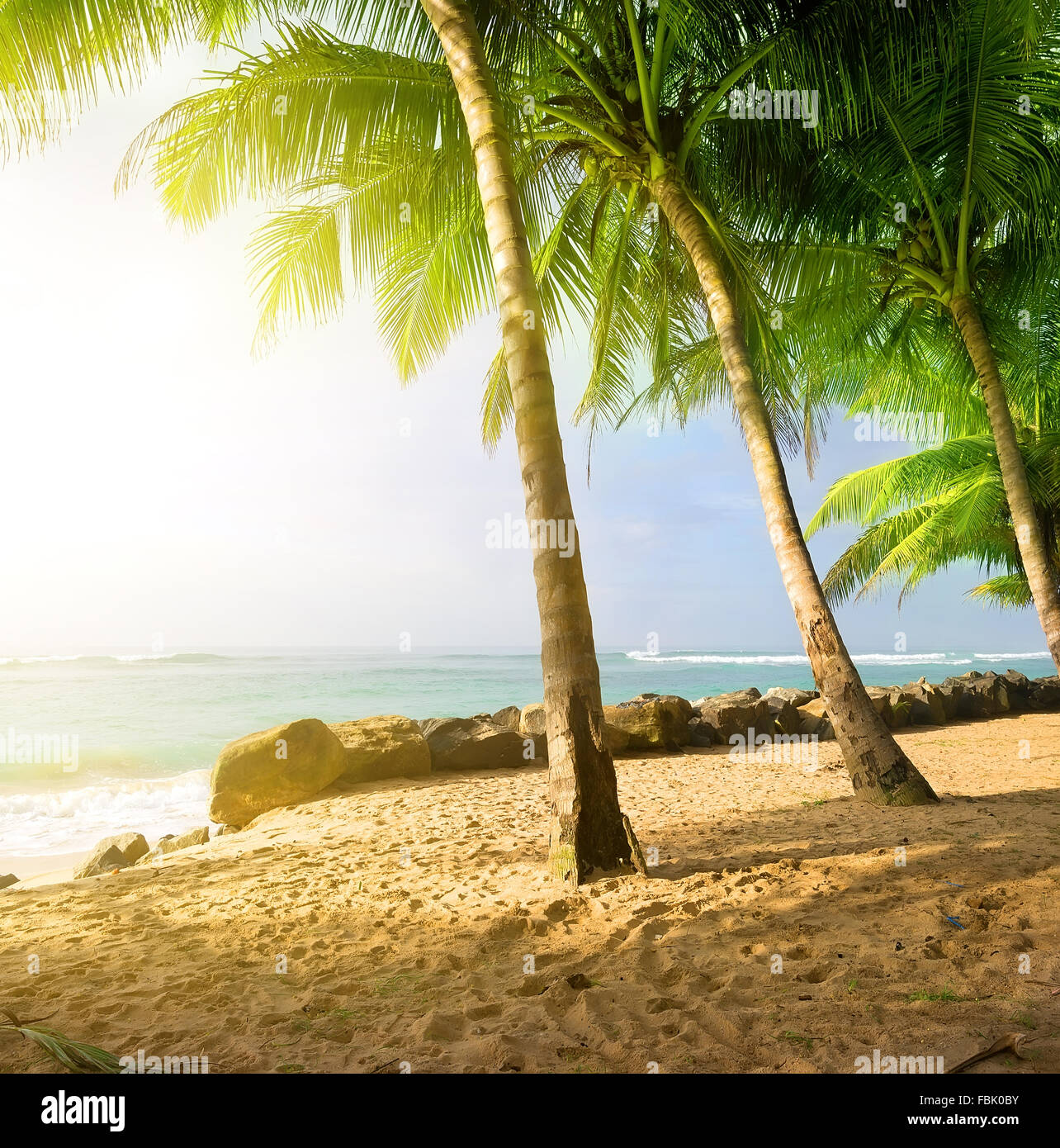 Sunrise on a sandy beach near the ocean in Gala Stock Photo