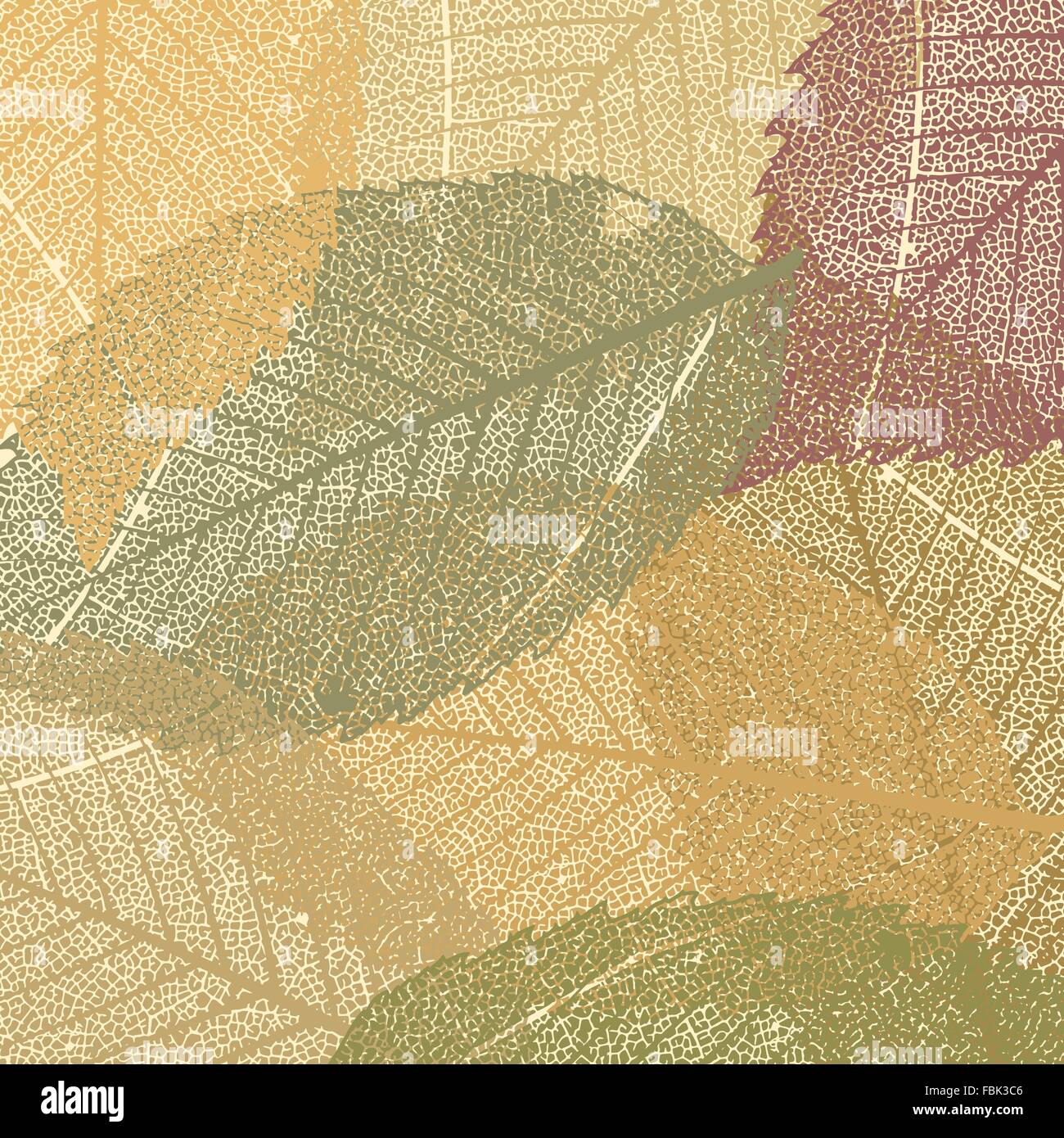 Dry autumn leaves template. EPS 8 Stock Vector Image & Art - Alamy