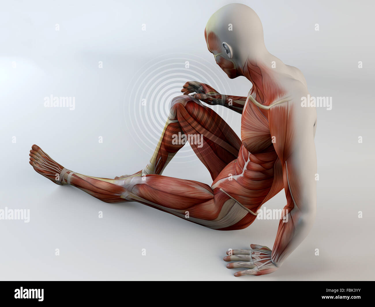 3d, Human body, knee pain, muscles, muscle tear Stock Photo Alamy