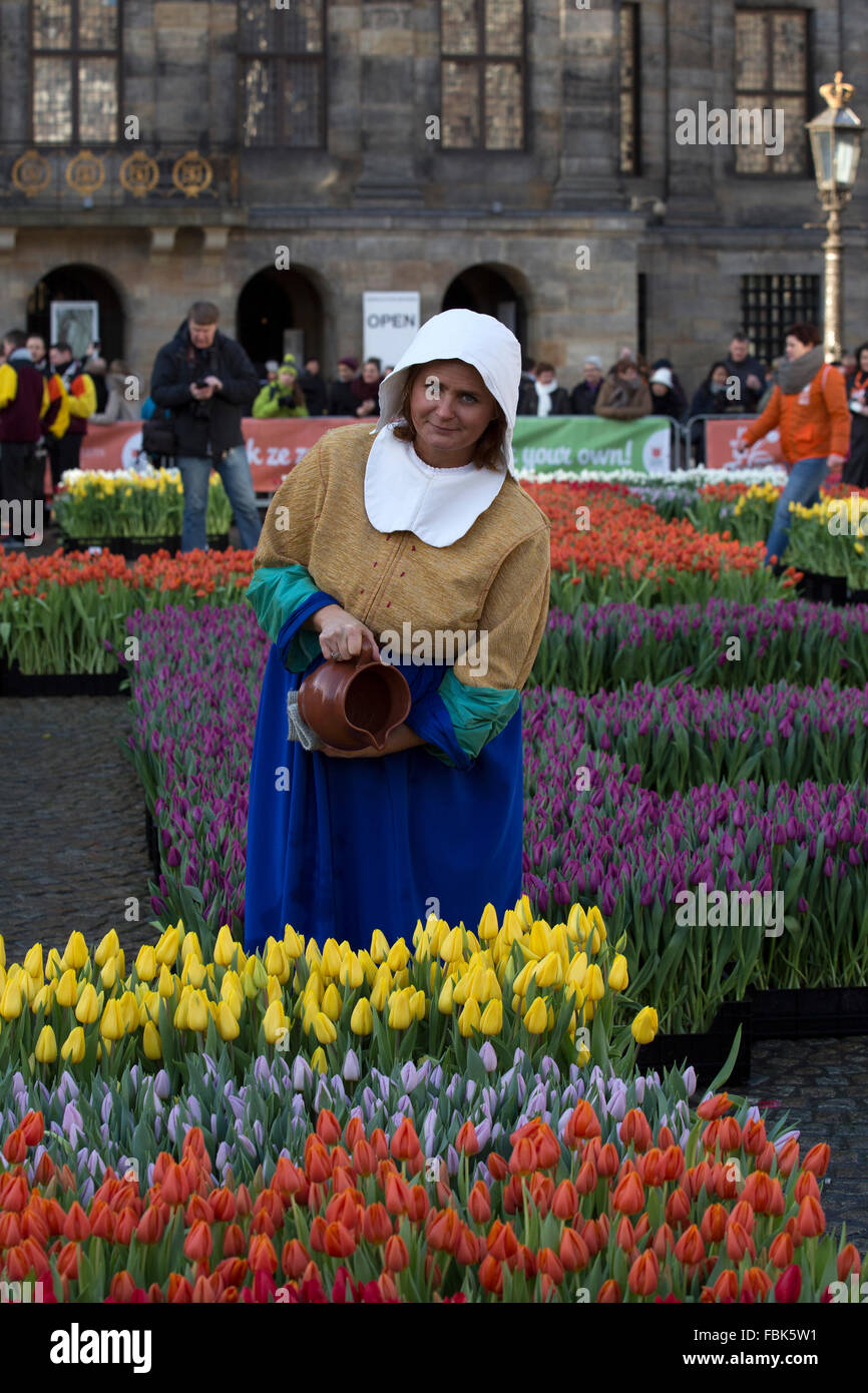 Dutch costume with tulips hi-res stock photography and images - Alamy