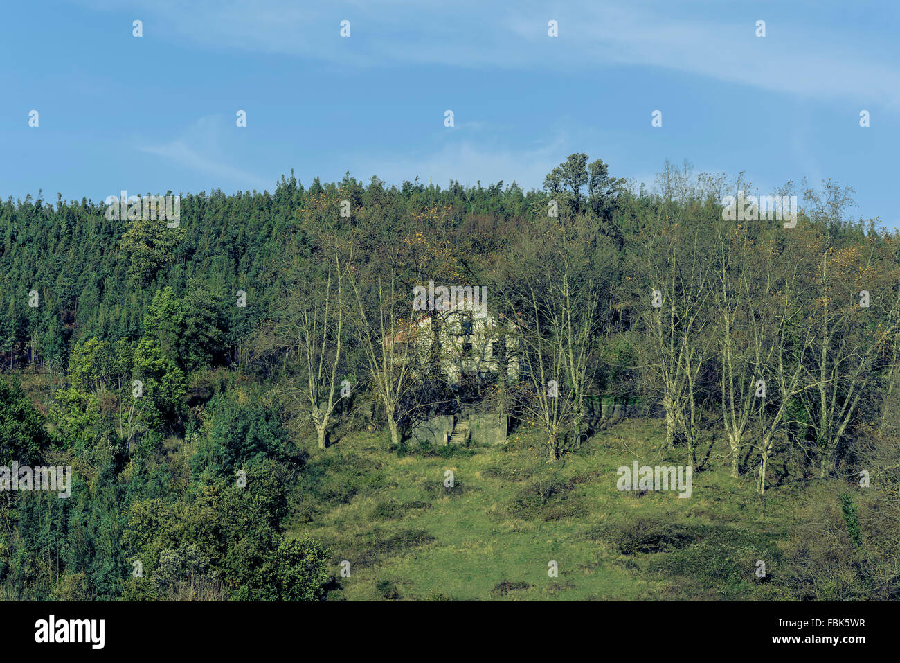 Old traditional house in Bilbao, Basque Country, Spain Stock Photo Alamy