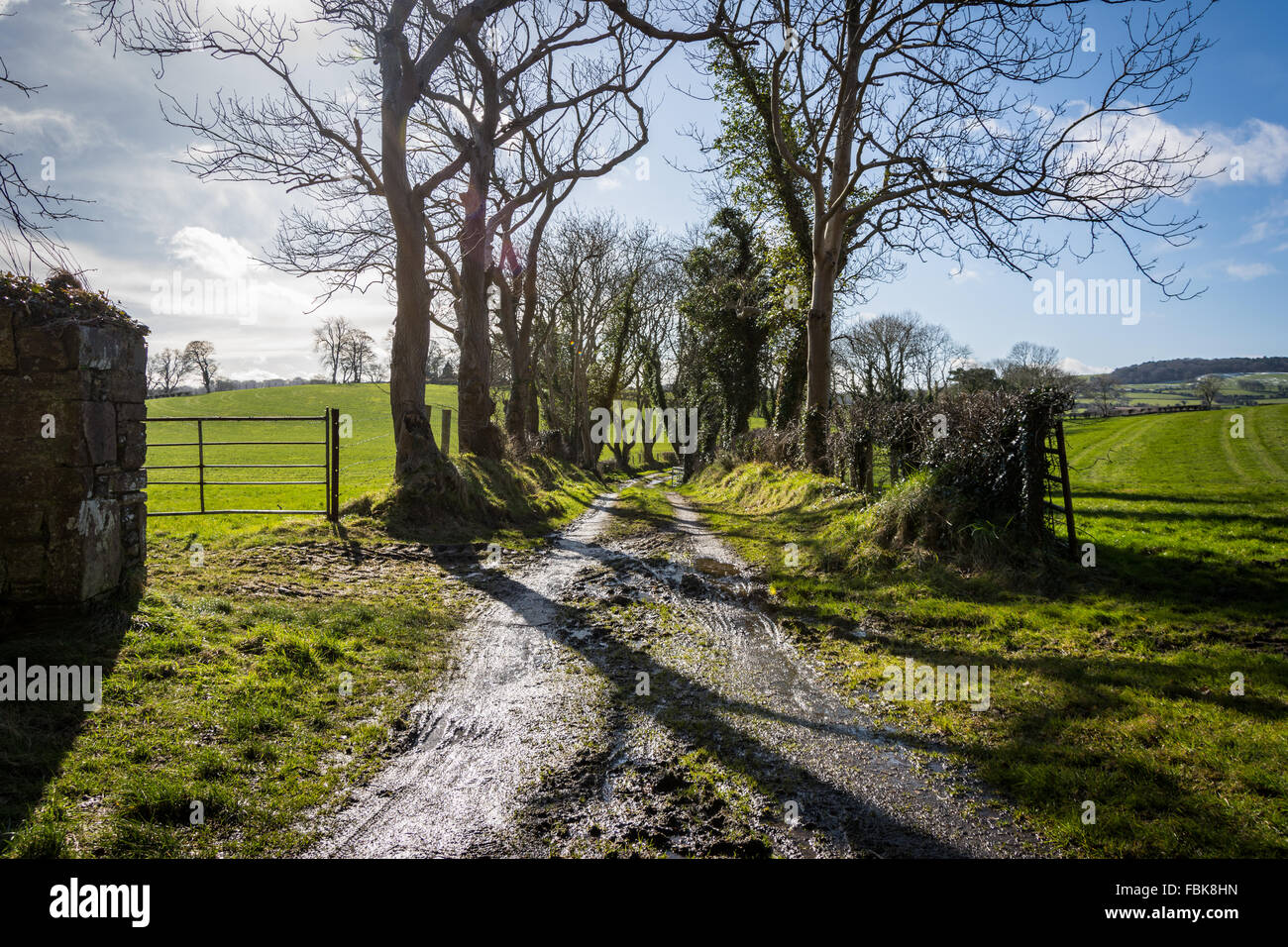 Well worn tracks run through the countryside in Northern Ireland Stock Photo