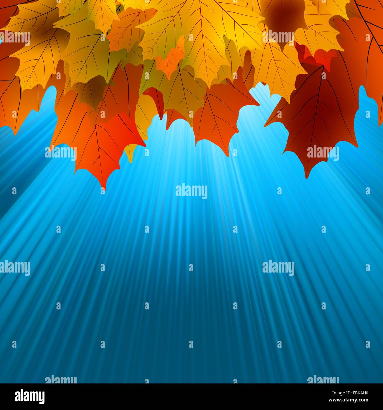 Autumnal leafs of maple and sunlight. EPS 8 Stock Vector Image & Art ...