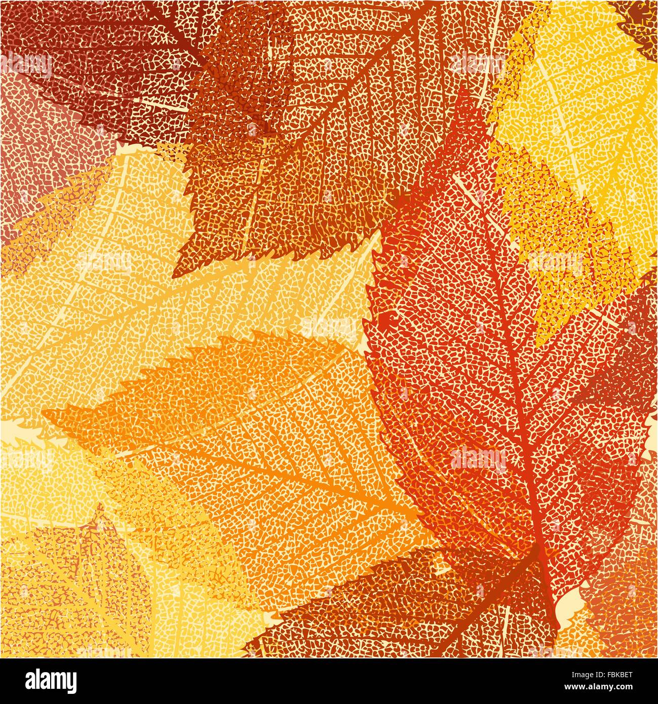 Dry autumn leaves template. EPS 8 Stock Vector Image & Art - Alamy