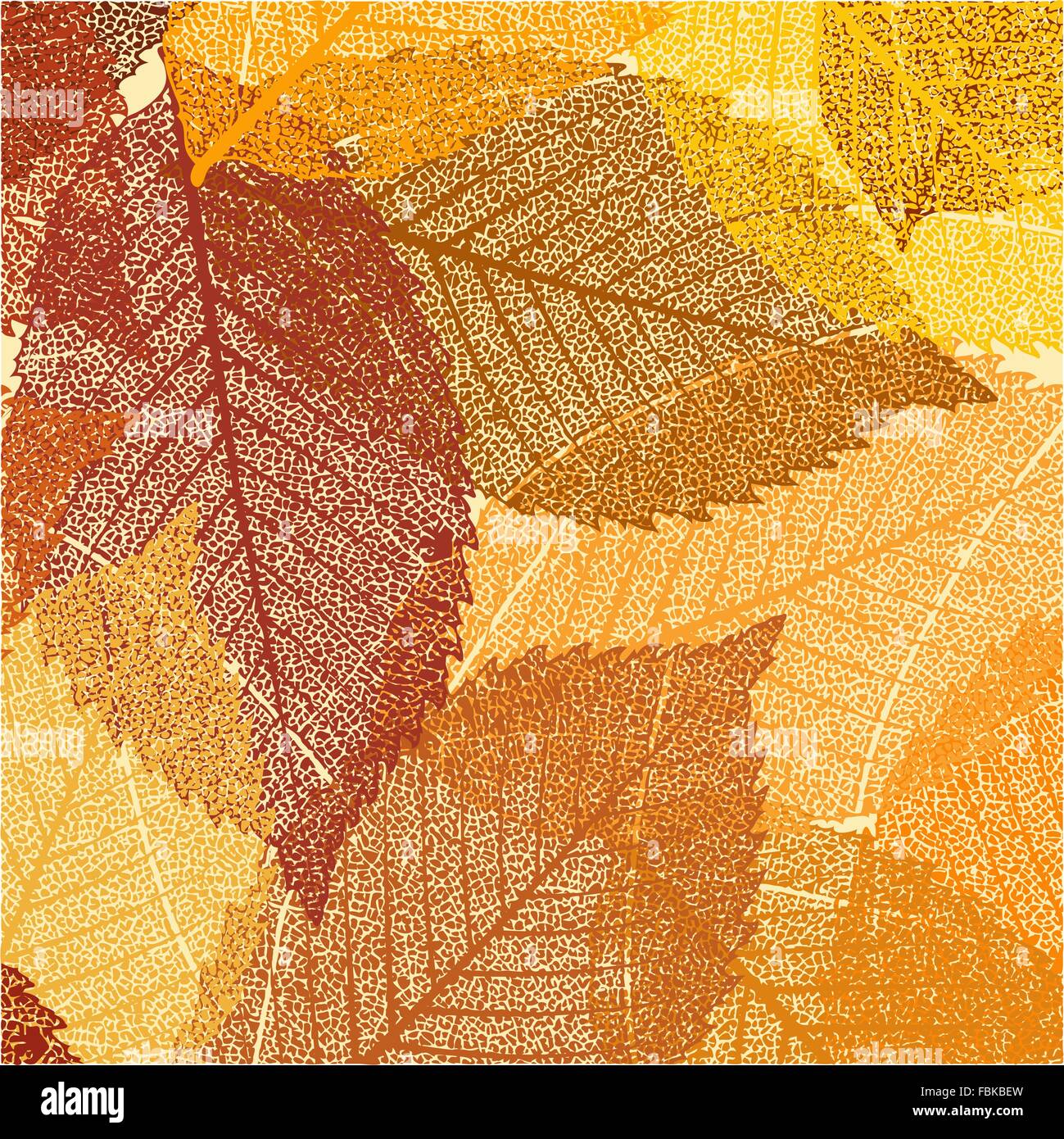 Dry autumn leaves template. EPS 8 Stock Vector Image & Art - Alamy