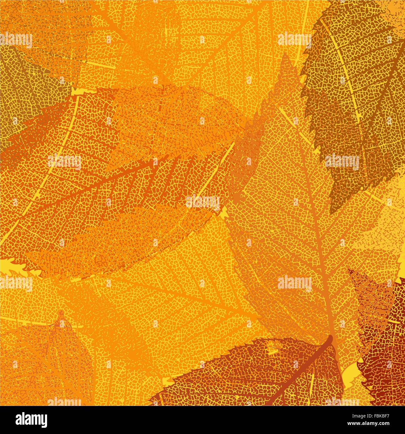Dry autumn leaves template. EPS 8 Stock Vector Image & Art - Alamy