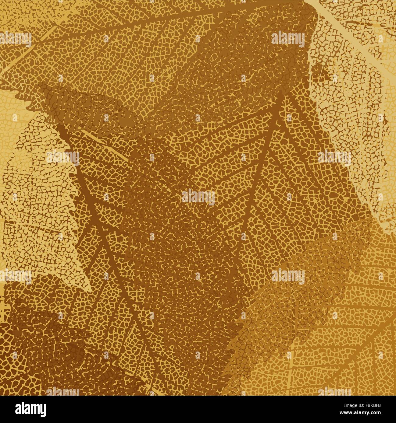 Dry autumn leaves template. EPS 8 Stock Vector Image & Art - Alamy