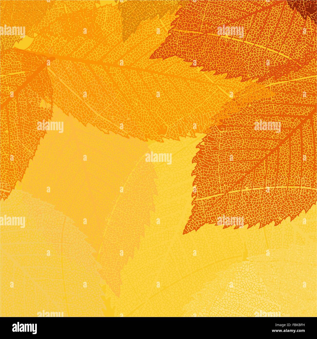 Dry autumn leaves template. EPS 8 Stock Vector Image & Art - Alamy
