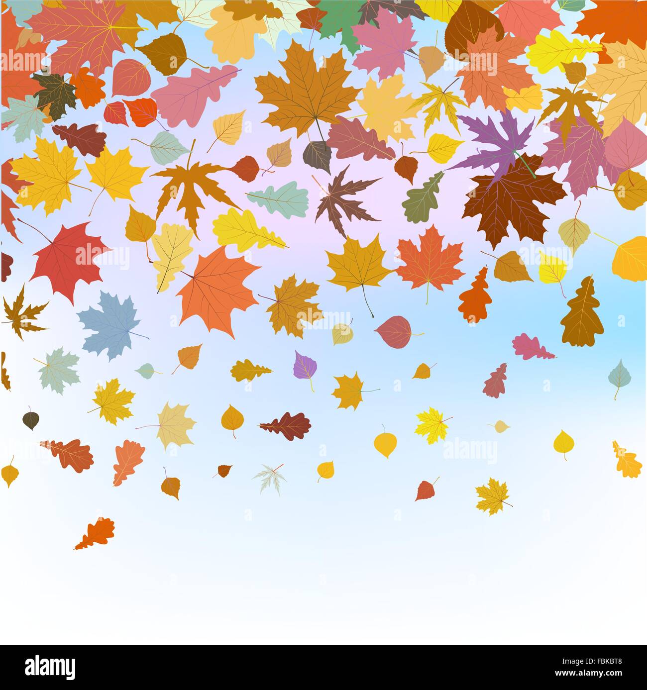 Beautiful autum leaves against sky. EPS 8 Stock Vector Image & Art - Alamy