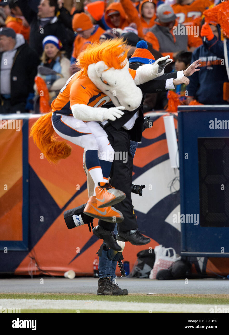 Denver, Colorado, USA. 17th Jan, 2016. Broncos Mascot Miles celebrates with a stadium worker in the end zone at the close of the 4th. Quarter at Sports Authority Field at Mile High Sunday afternoon. The Broncos beat the Steelers 23-16 and advance the the AFC Championship game against the Patriots next week. Credit:  Hector Acevedo/ZUMA Wire/Alamy Live News Stock Photo