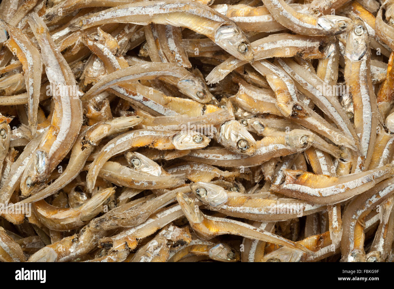Closeup of lots of dried anchovies Stock Photo