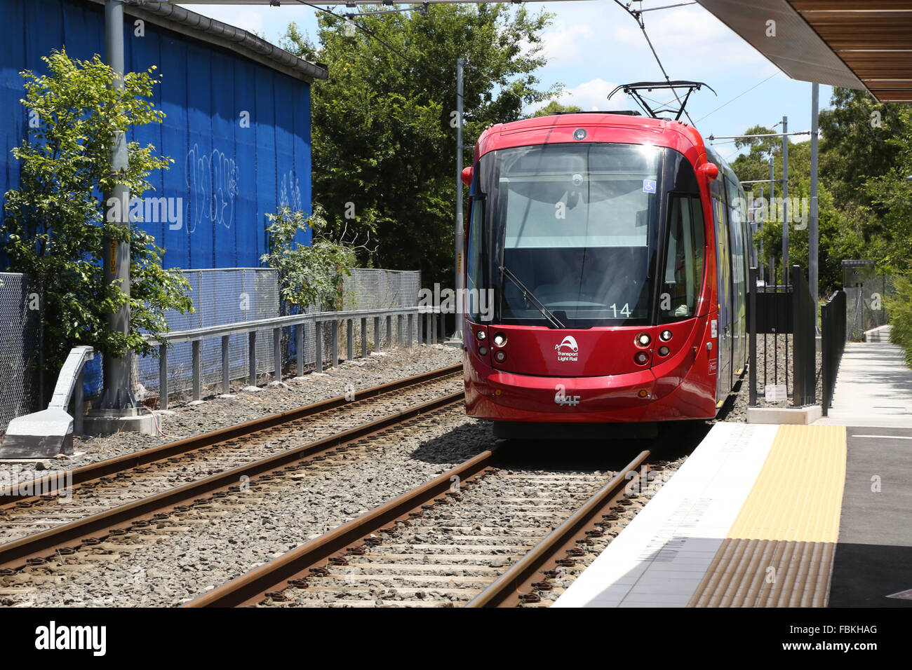 The Star Light Rail Stop - Pyrmont, NSW