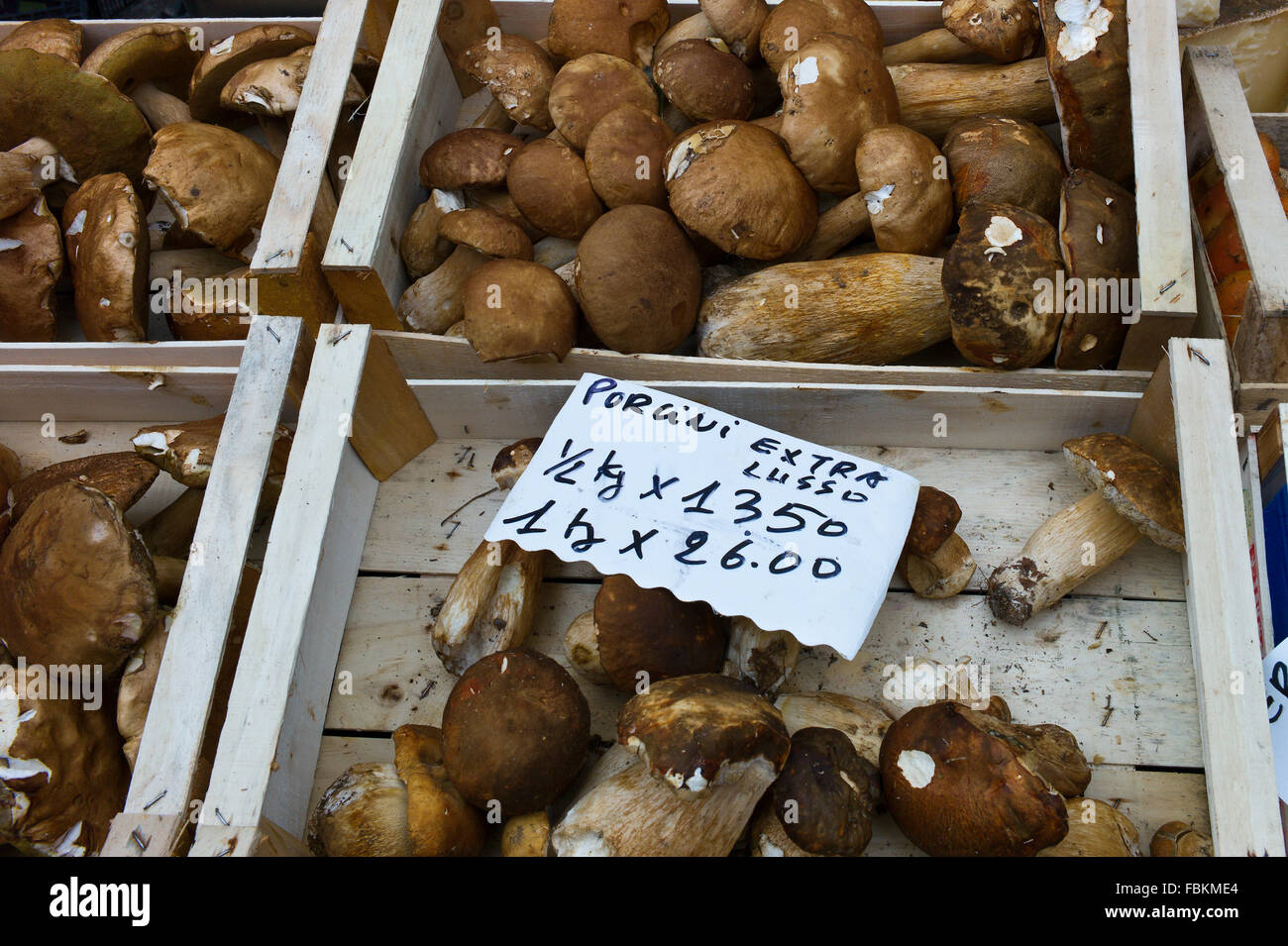 Porcini Italy High Resolution Stock Photography and Images Alamy