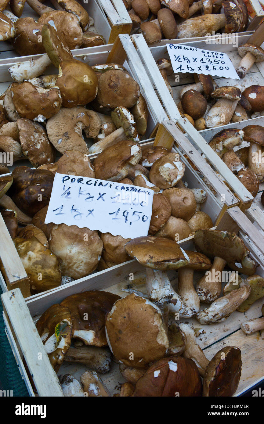 Mushroom Mushrooms Market Stall High Resolution Stock Photography and