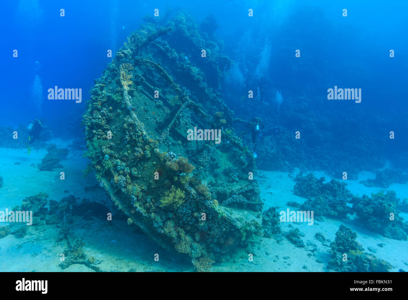adventure, aquatic, blue, boat, coral, damage, deep, diver, diving