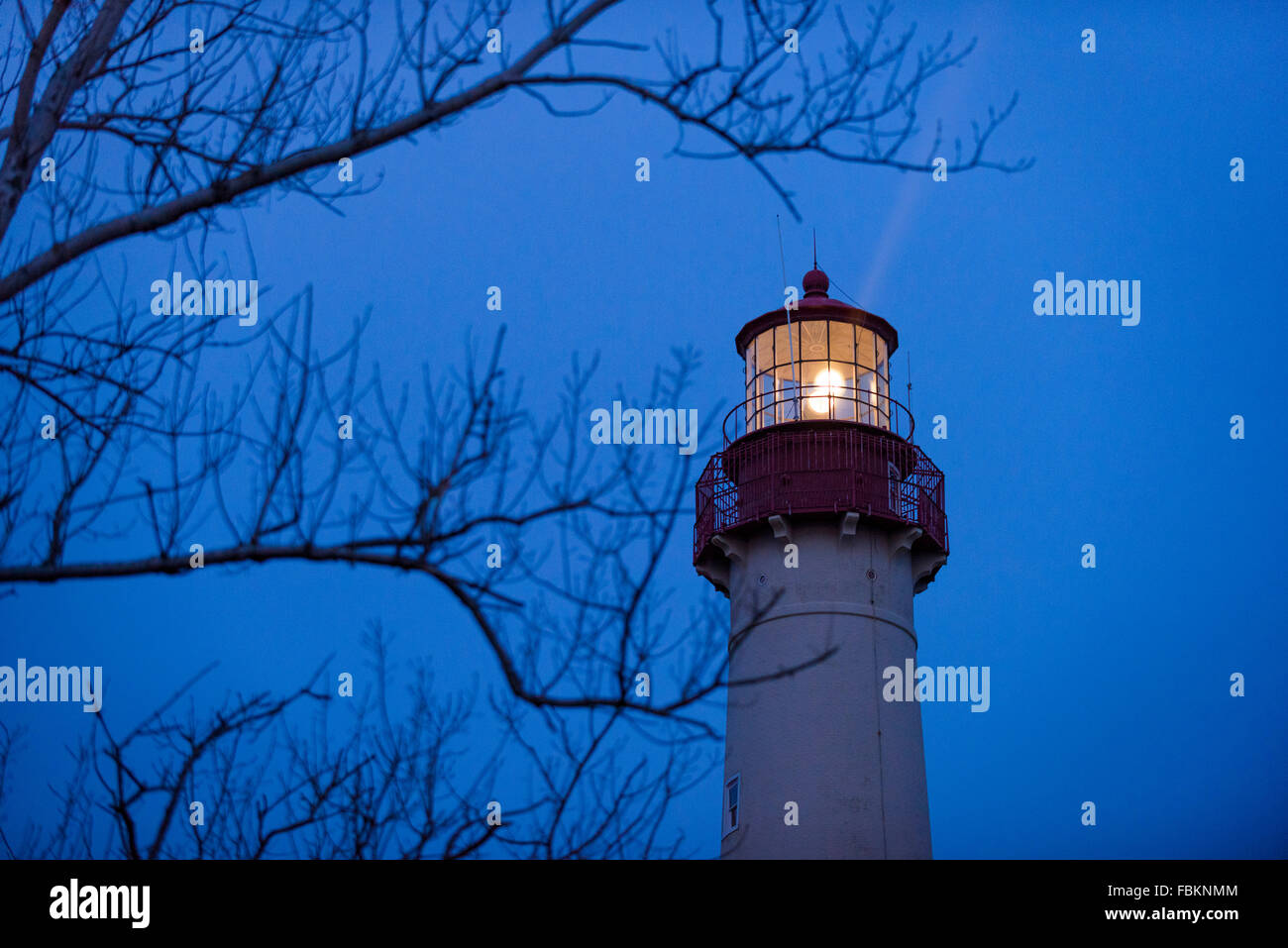 The Cape May Lighthouse photographed under a full moon located in the
