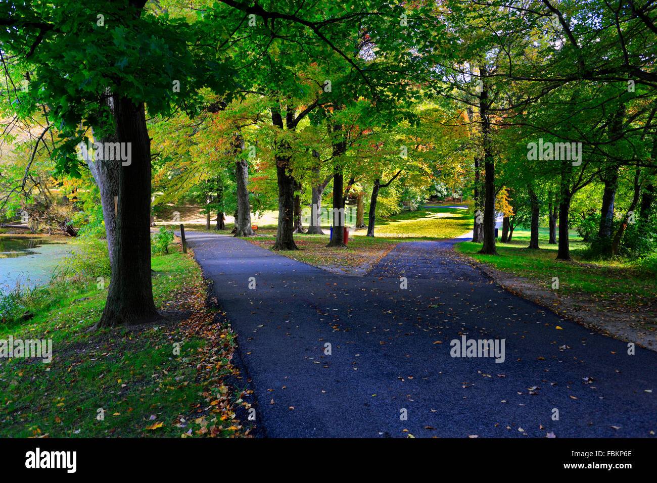 Fork in the road Tibbetts Brook Park Yonkers New York Stock Photo