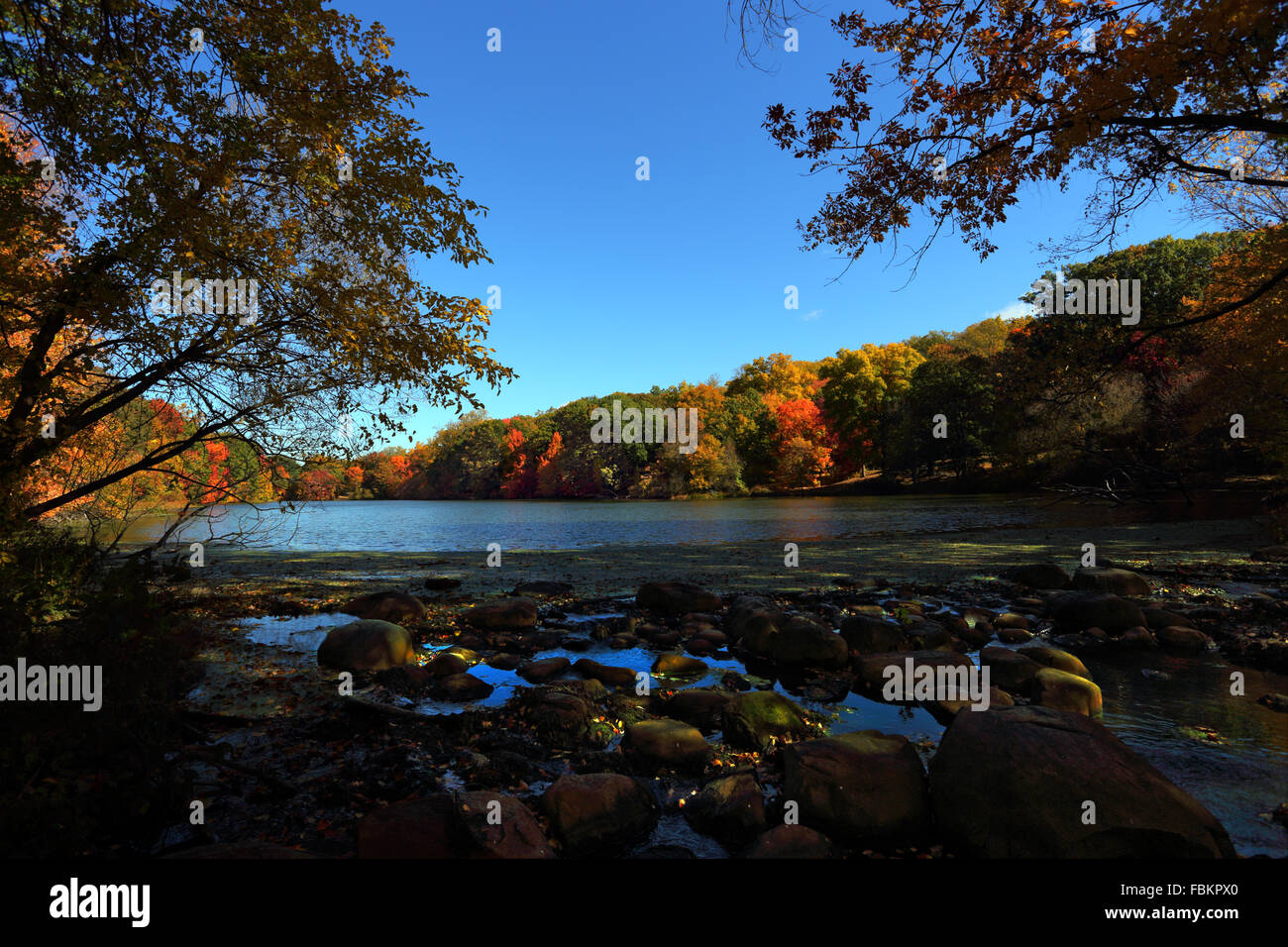 Tibbetts Brook Park Yonkers New York Stock Photo Alamy