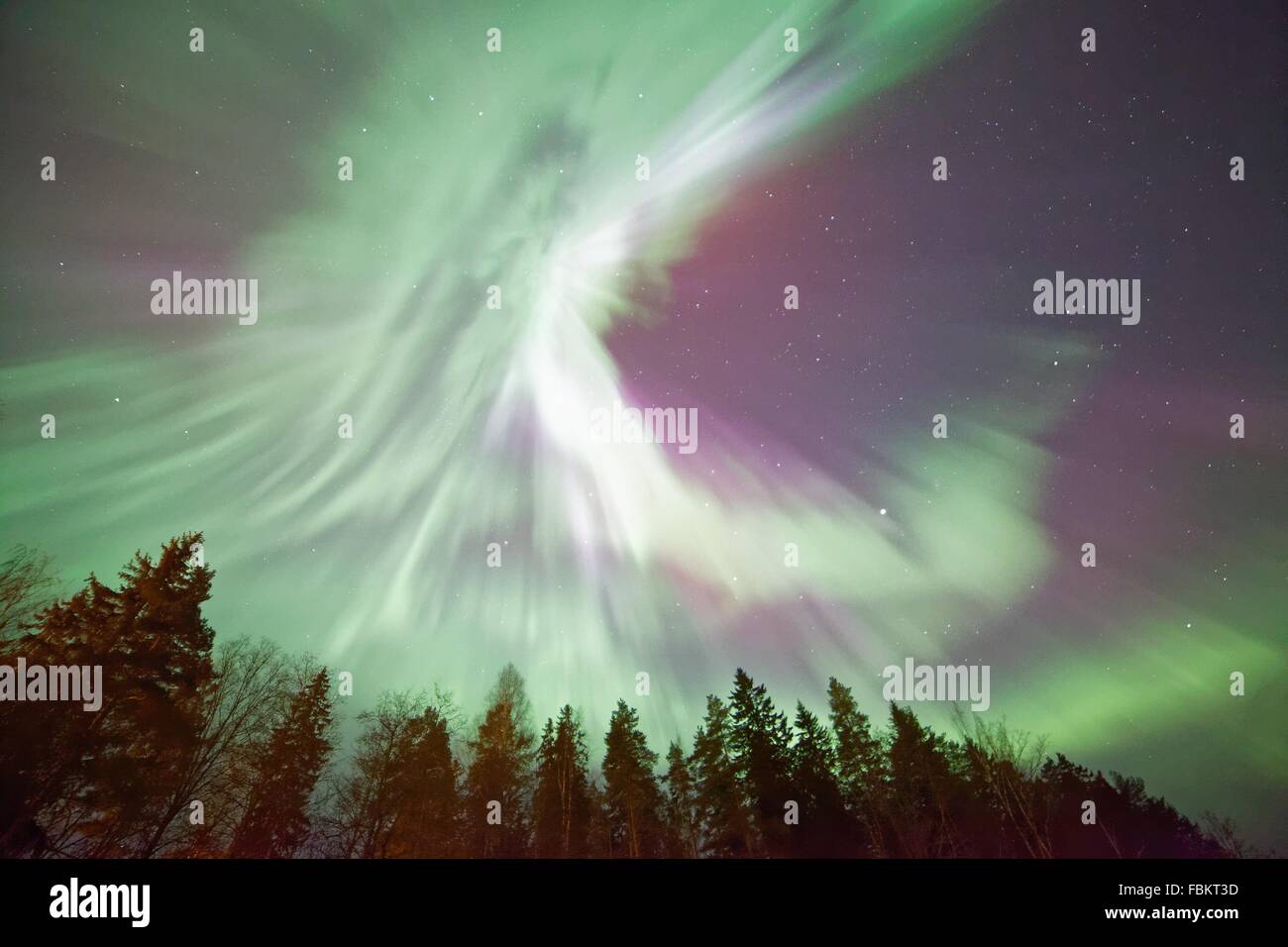 Northern lights (Aurora Borealis) glowing in the night sky over a icy ...