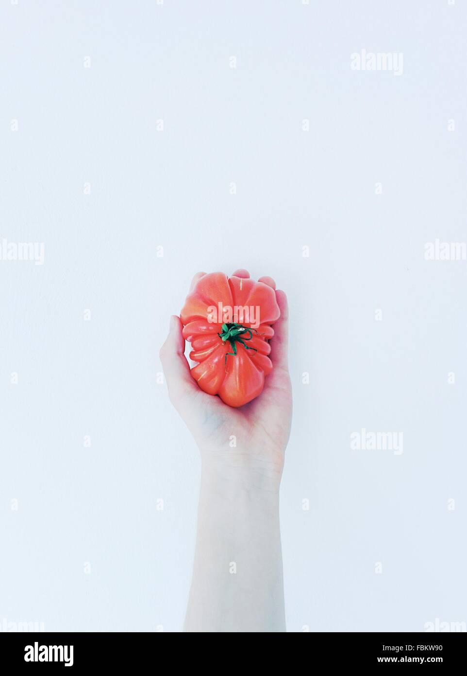 Close-Up Of Hand Holding Tomato Over White Background Stock Photo - Alamy