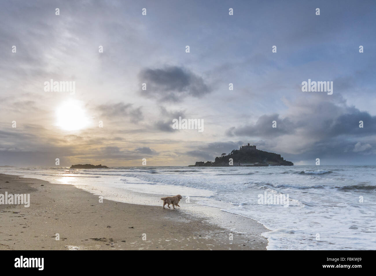 Marazion, Cornwall, UK. 18th January 2016. UK Weather. Mild with sunny intervals over Mounts Bay Cornwall. The area has just been announced as one of the new Conservation Zones round the country, by the MCS.  Recognised for it's important habitat - including Eeel Grass, Mounts Bay hosts a variety of wildlife and rare seabirds. There is currently a Pacific Diver in the area, which has attracted twitchers from around the country. Credit:  Simon Maycock/Alamy Live News Stock Photo