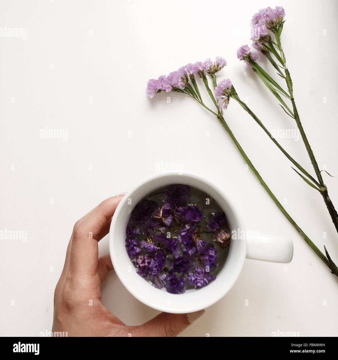 Hand holding a cup of floral flower tea Stock Photo Alamy