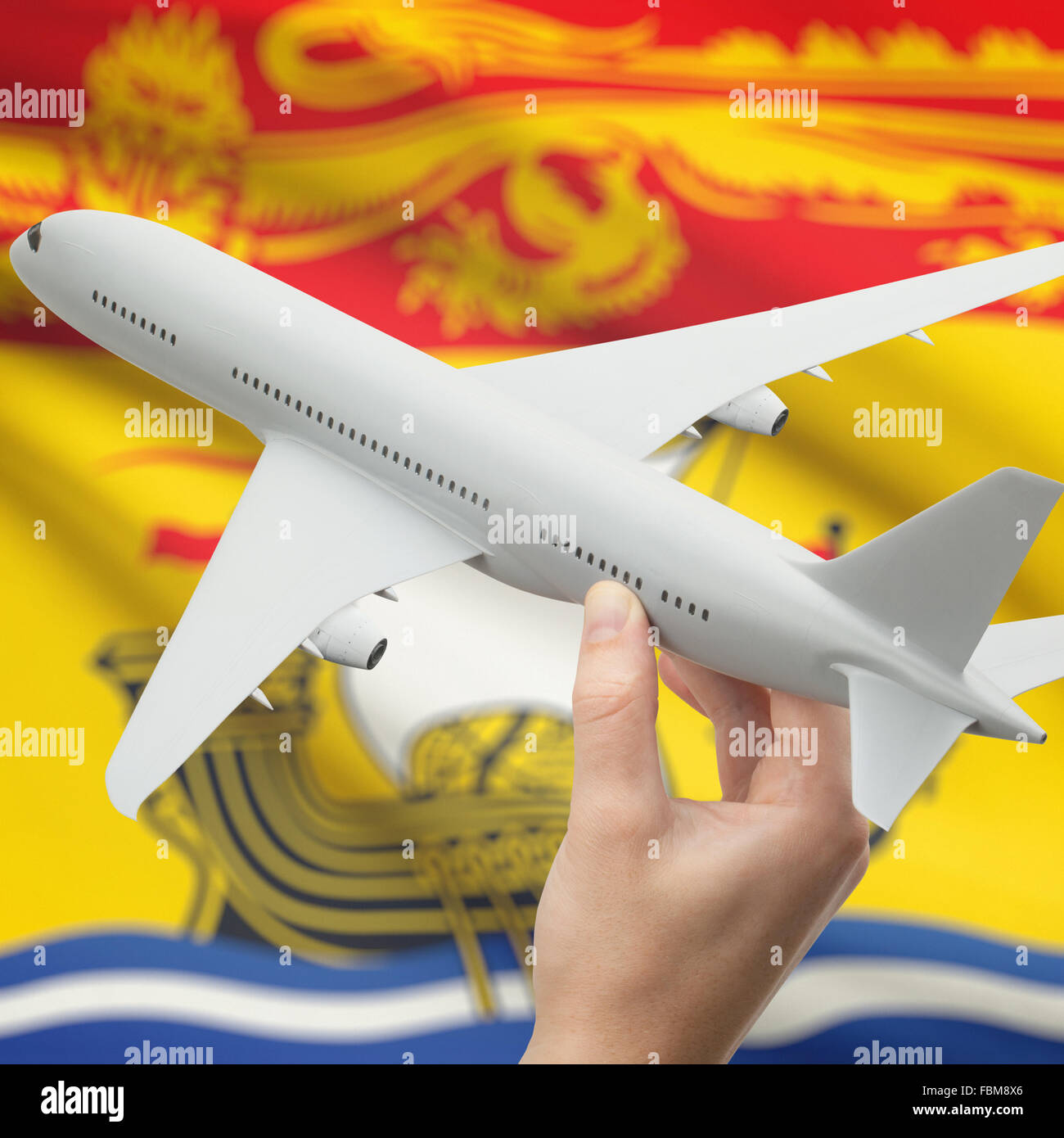 Airplane in hand with Canadian province or territory flag on background series - New Brunswick Stock Photo