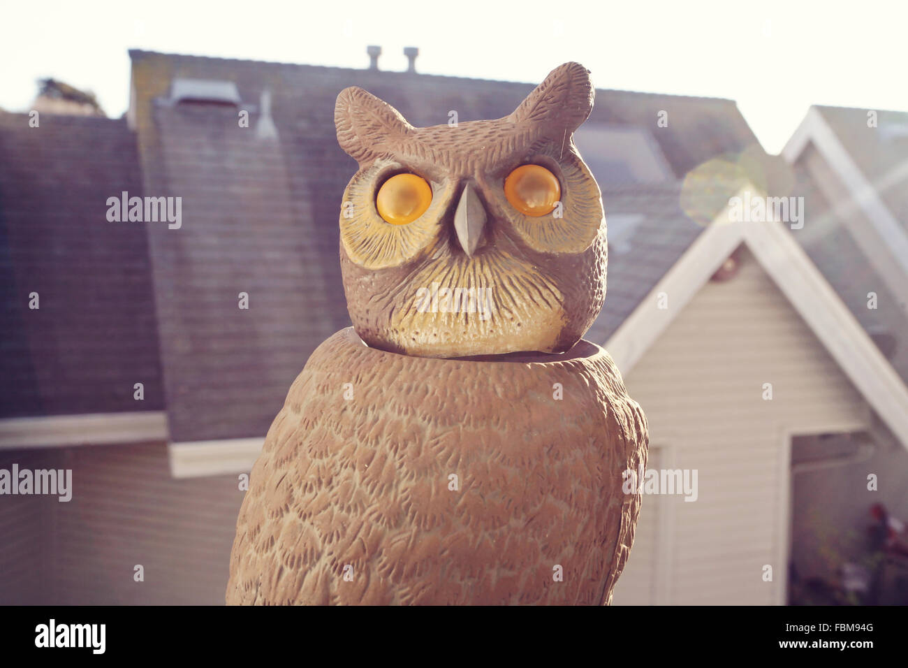 Owl statue security best sale camera