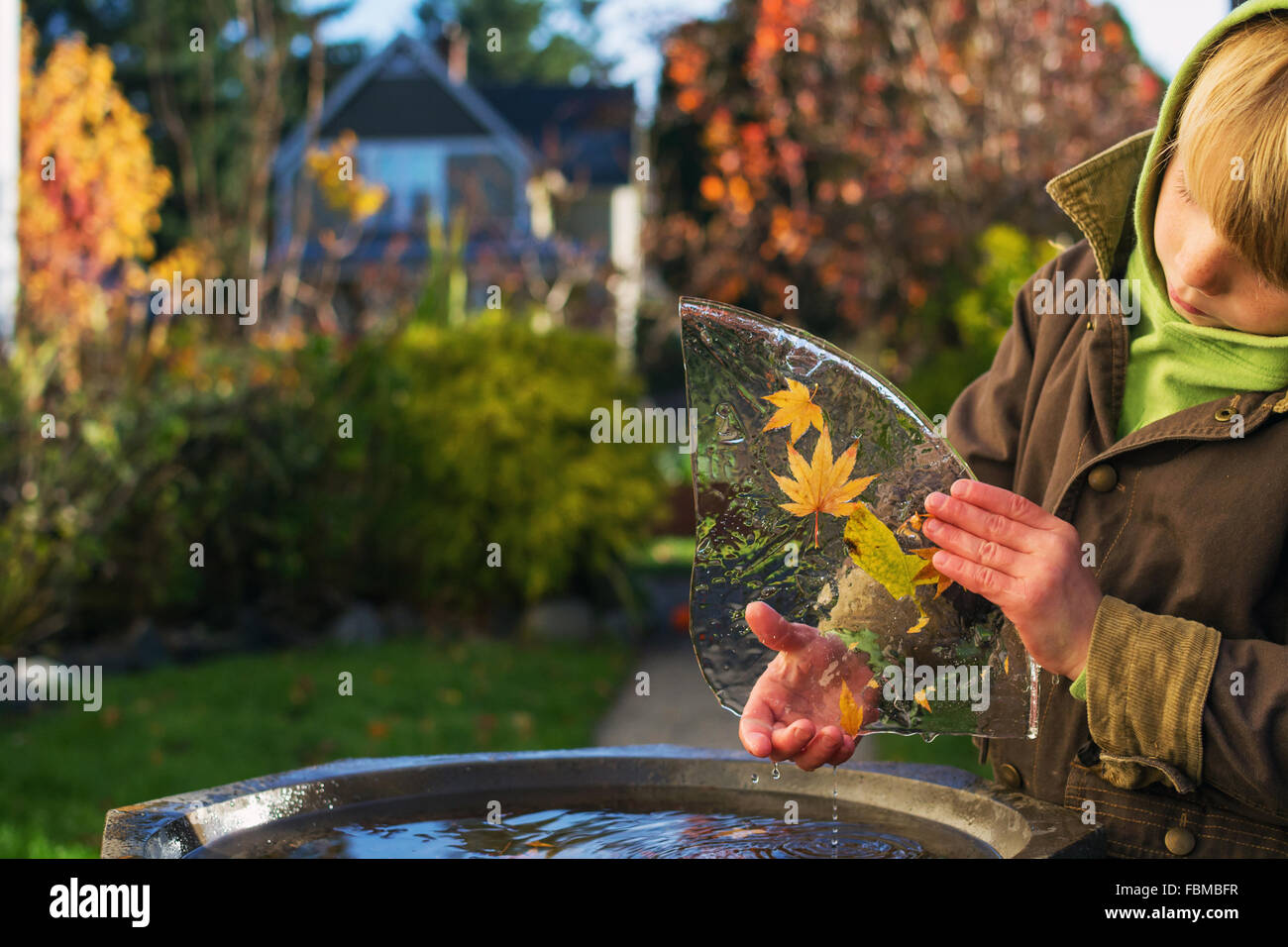Young boy outside holding leaves frozen in ice Stock Photo