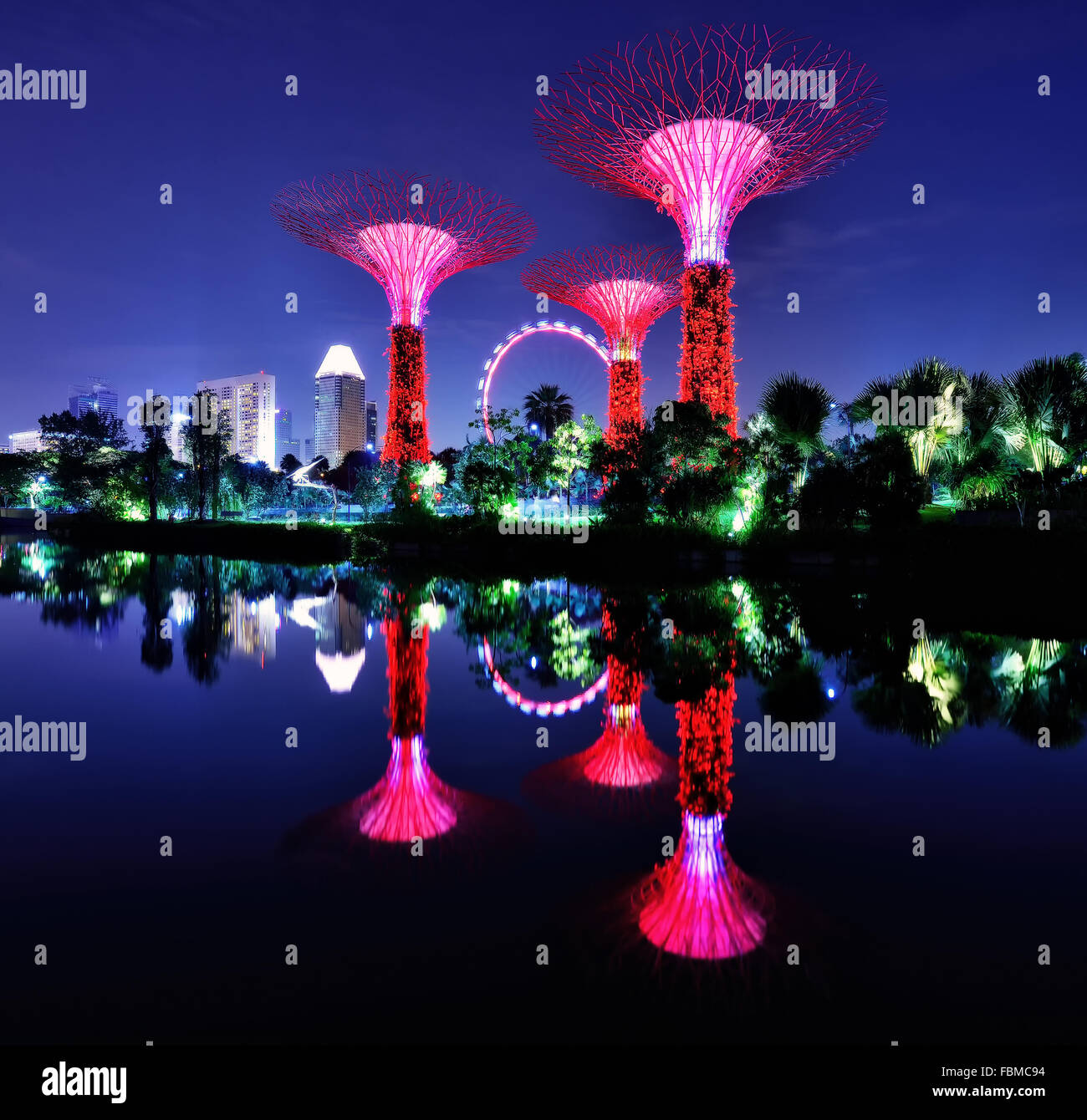 Supertree Grove, Gardens by the bay, Singapore Stock Photo