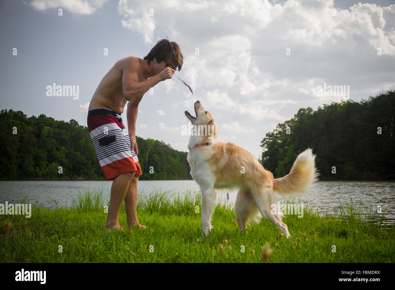 Young man playing with a border collie dog by lake Stock Photo