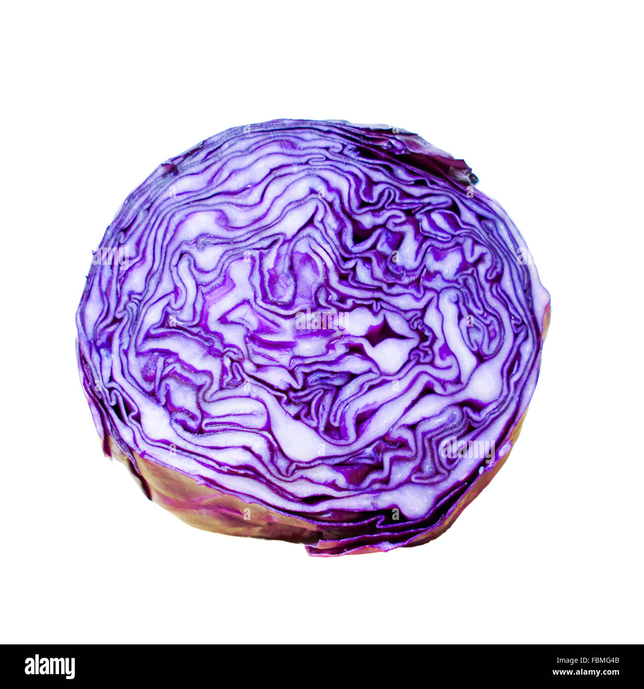 purple cabbage on white background Stock Photo Alamy