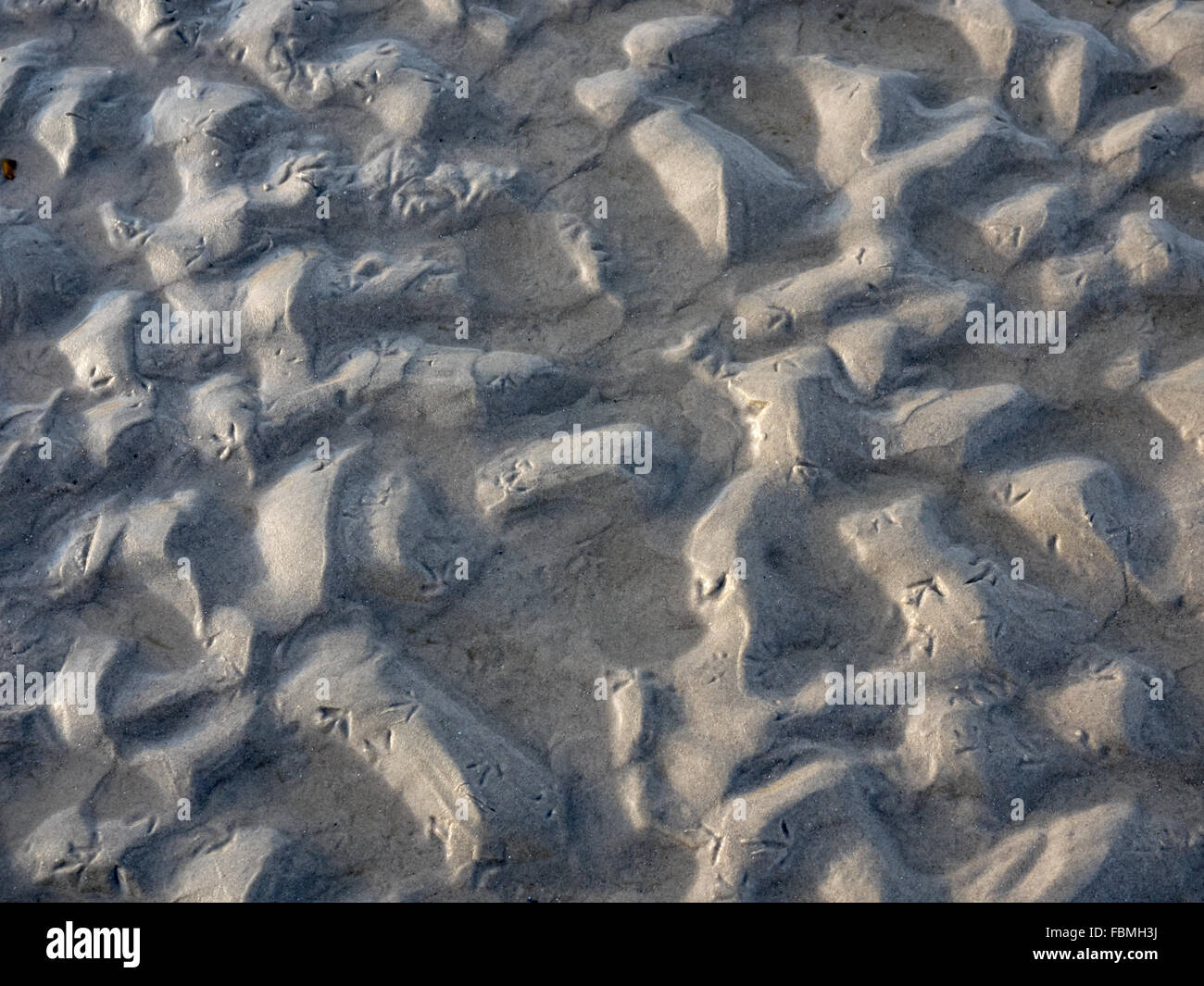 Beach with seagull footsteps in the sand Stock Photo