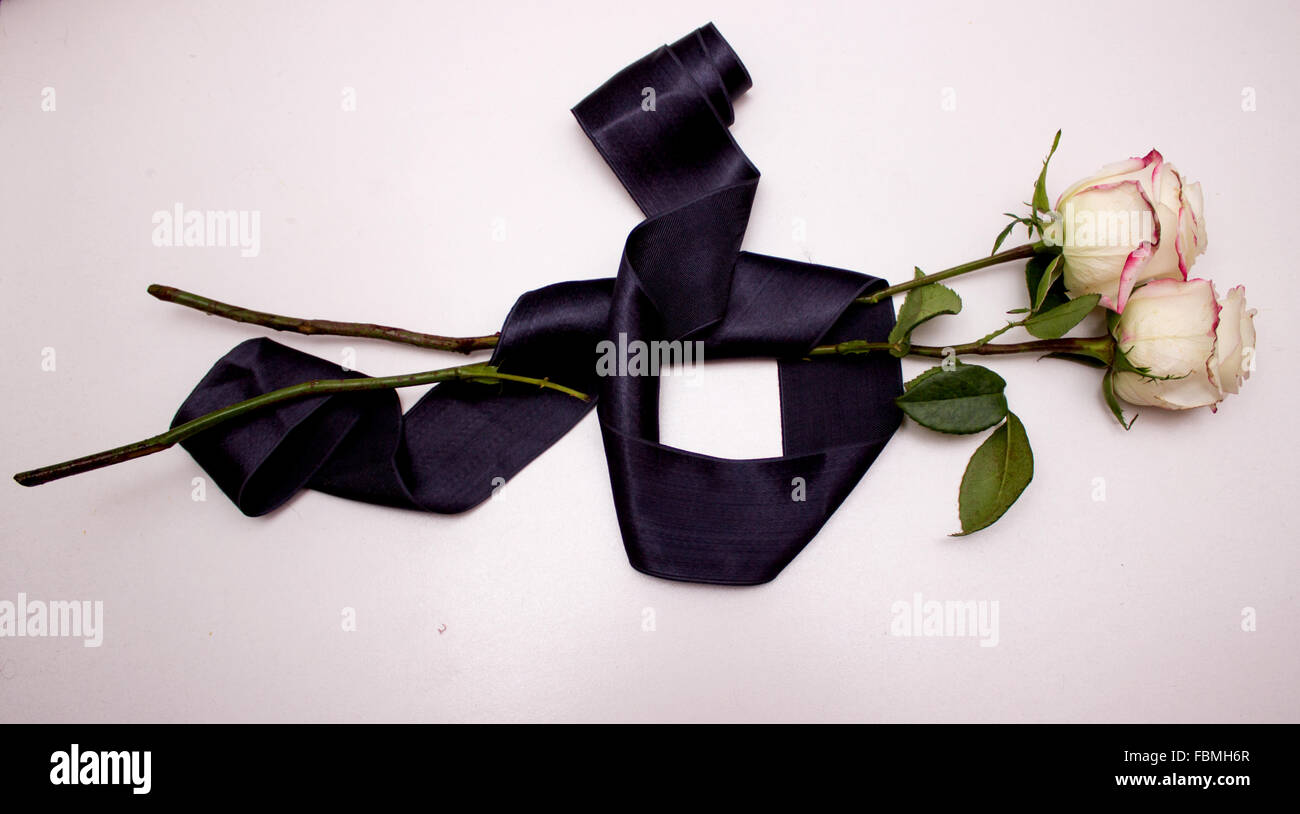 white rose with black ribbon Stock Photo