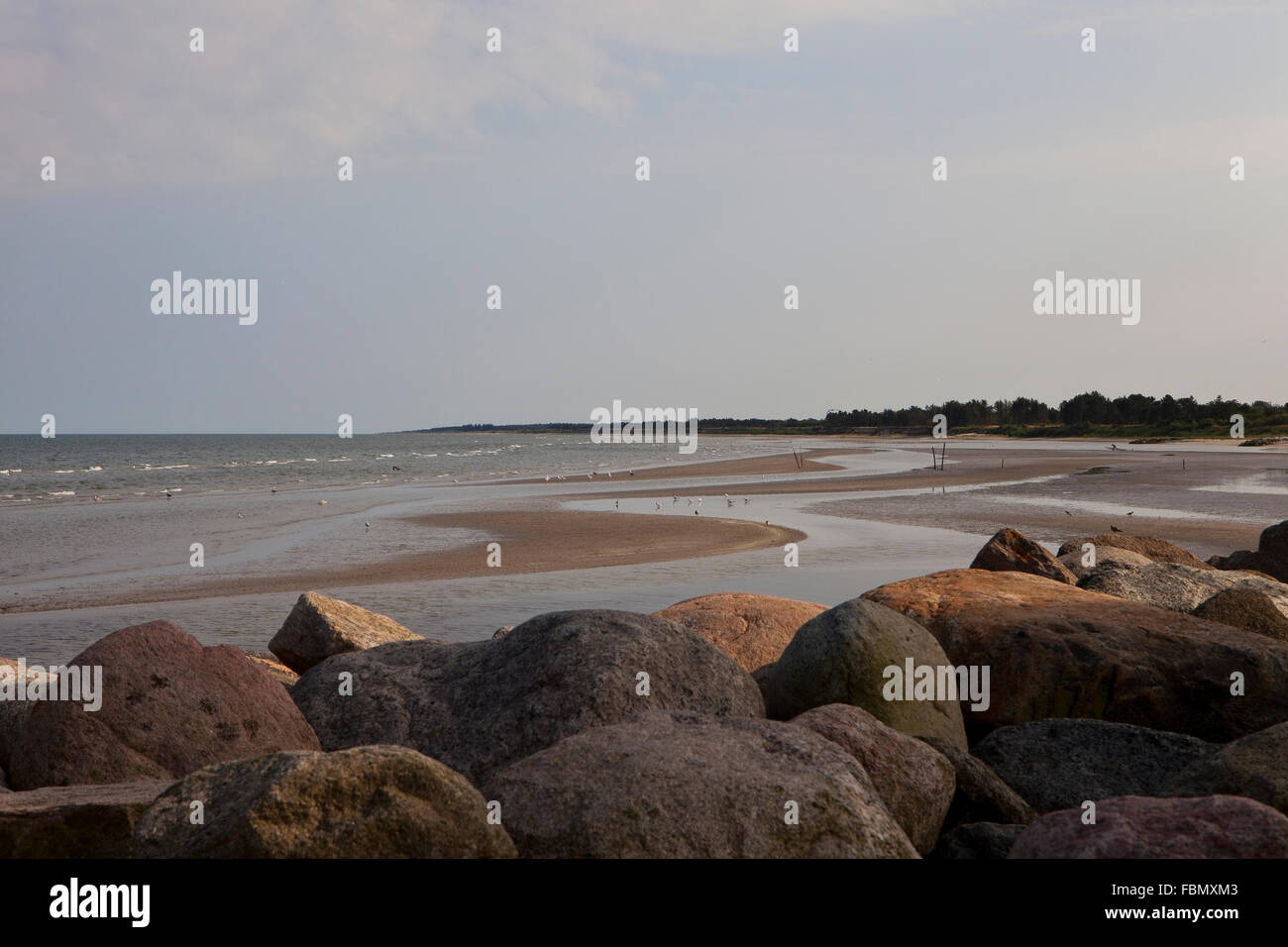Patterns in the Low Tide. The town of Saeby lies on the east coast, a ...
