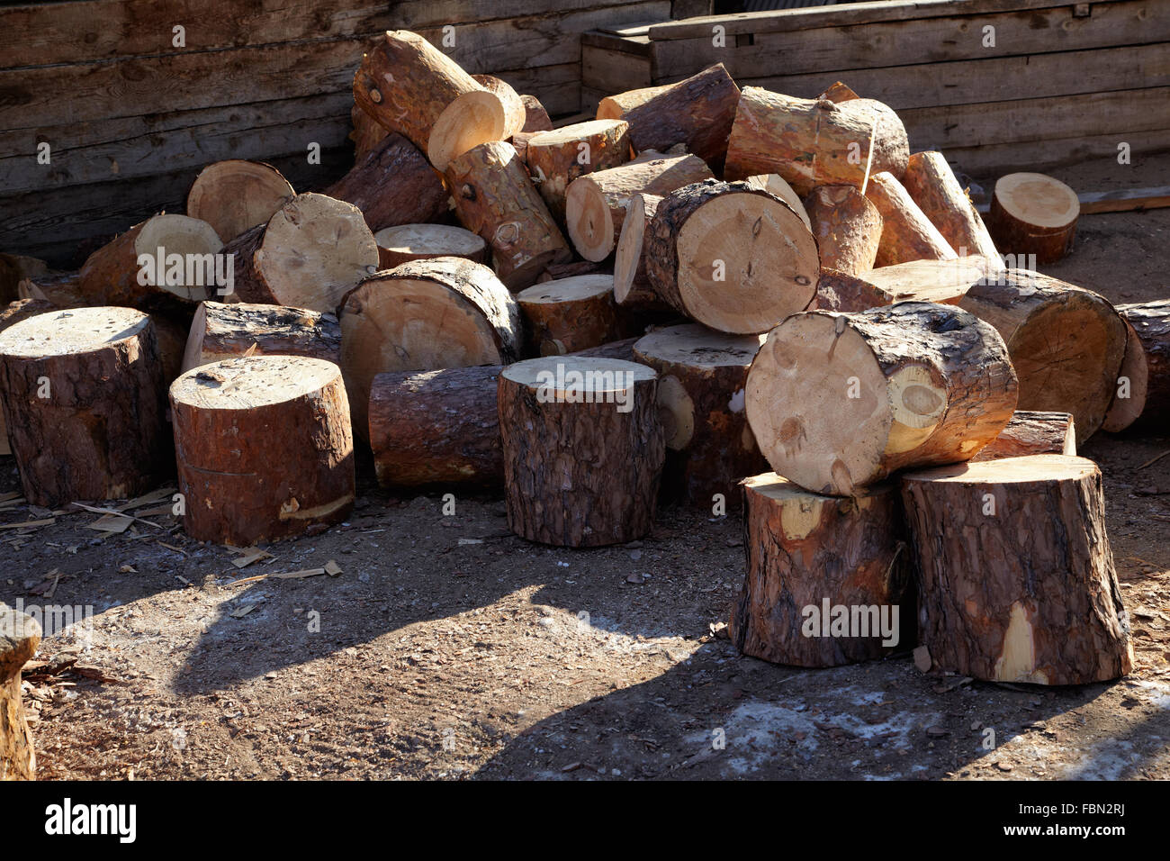 Firewood pine chump in siberian village Stock Photo