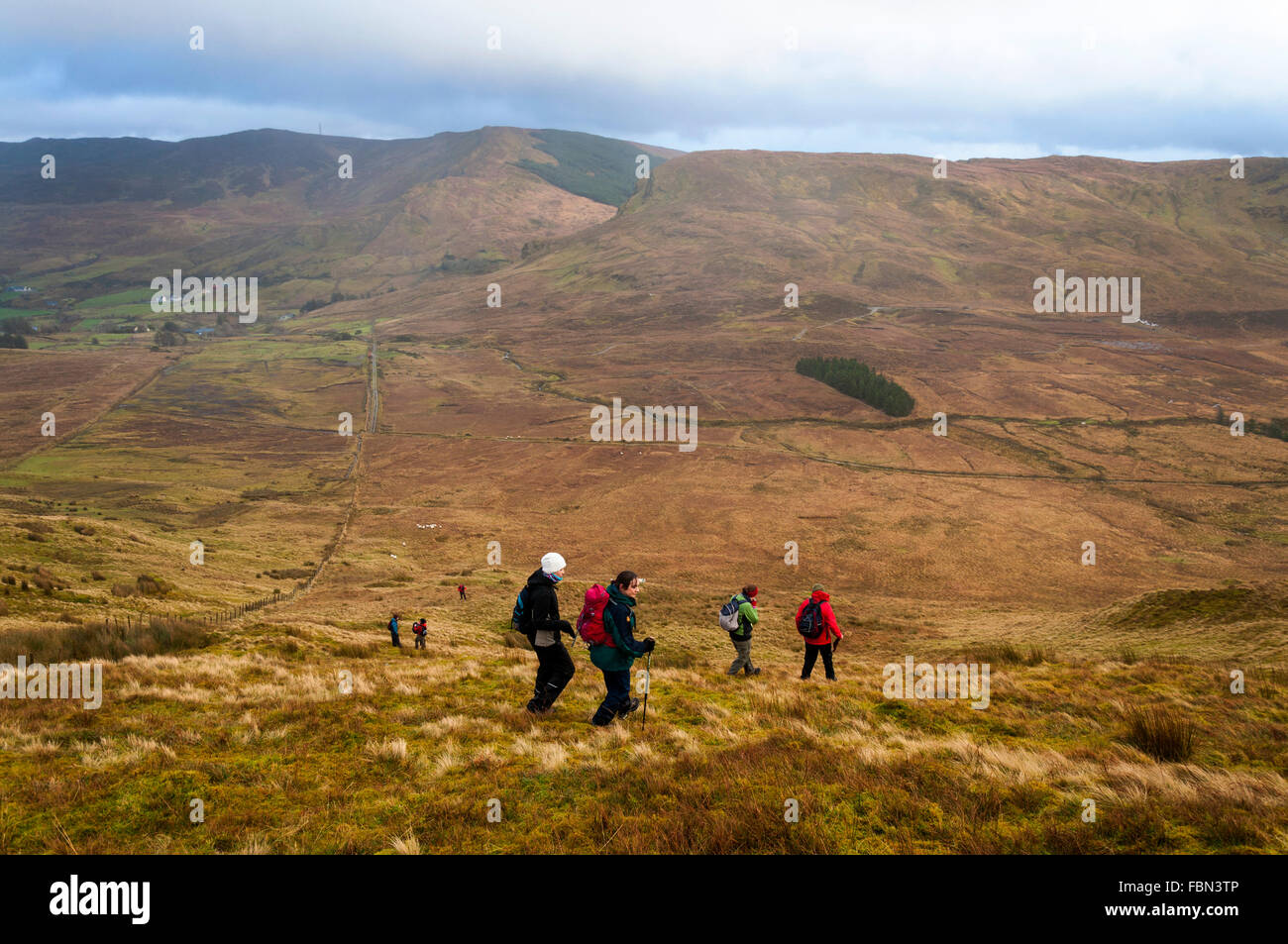 Walkers on Common Mountain above Ardara, County Donegal, Ireland Stock Photo