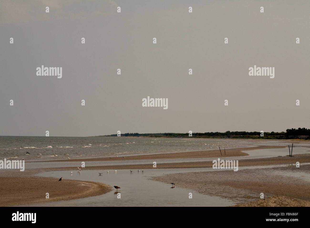 Saeby, Jutland, Denmark. The small seaside town of Saeby lies on the ...