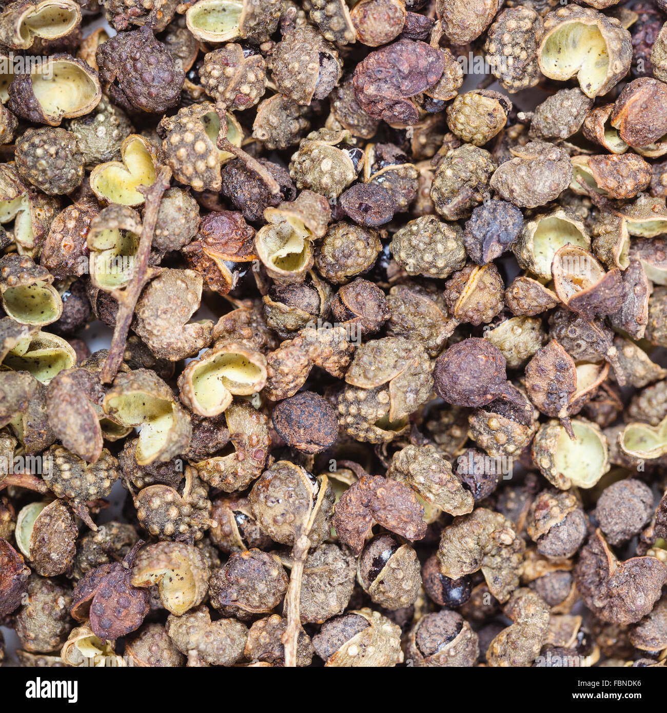 square food background - dried pods of Sichuan pepper close up Stock Photo