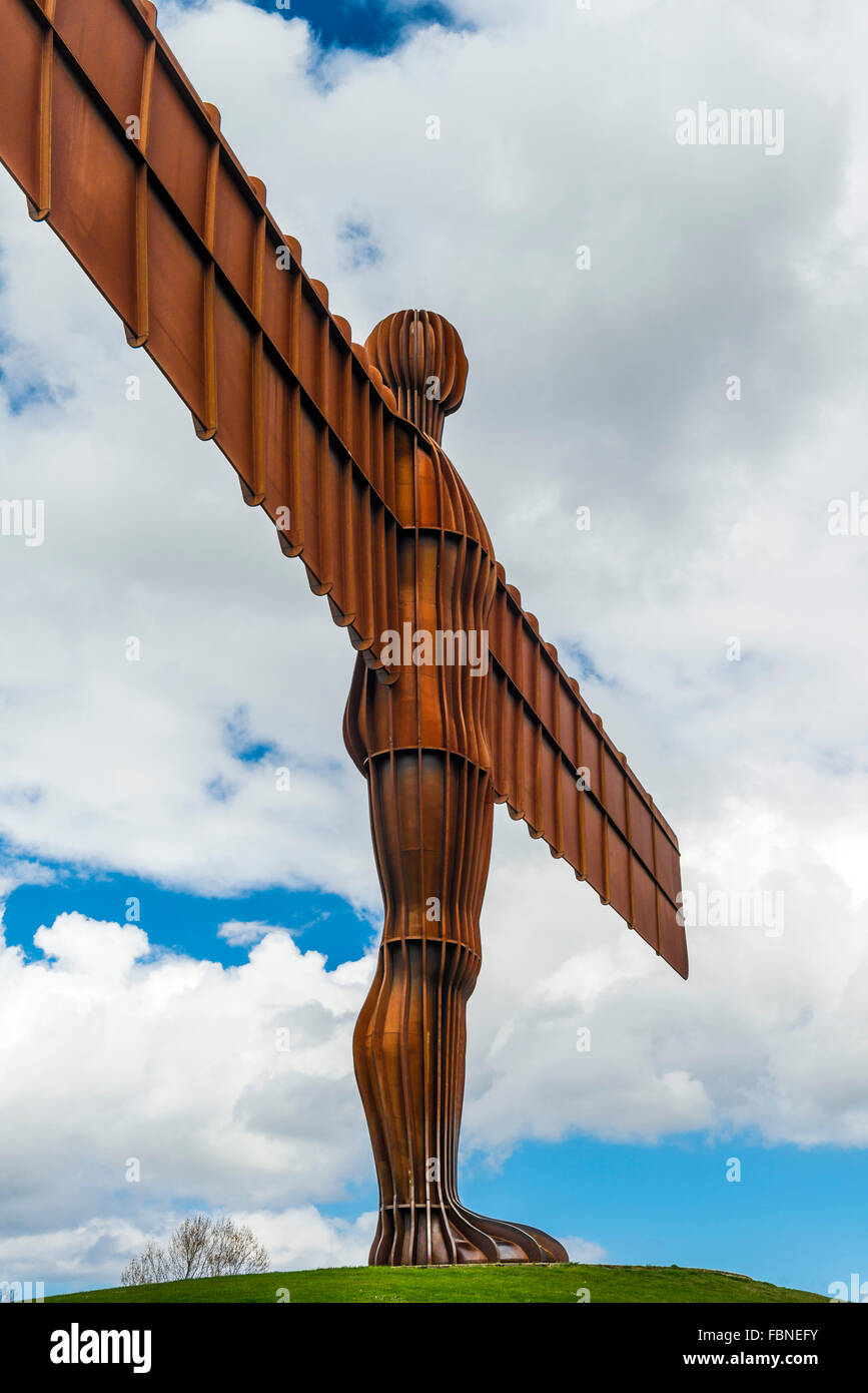 Angel of the North Anthony Gormley Gateshead Tyne and Wear North East ...