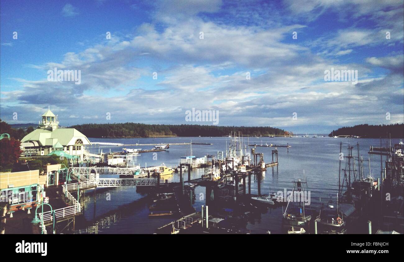View Of Waterfront During Daytime Stock Photo